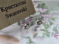 Серьги 1448004500086: цена 250 рублей.